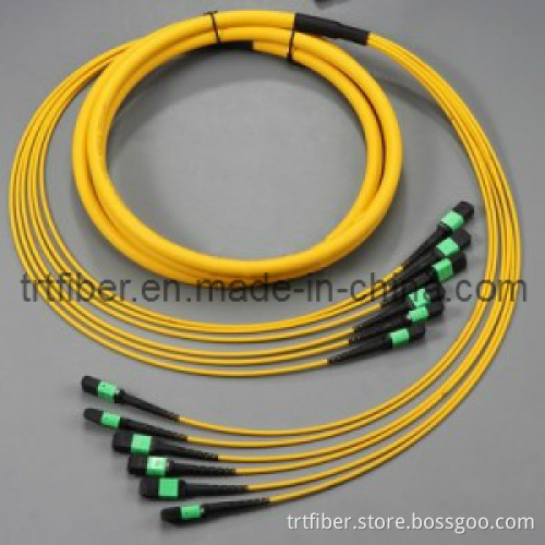 Fiber Optic Patch Cord MPO- MPO SM (Fiber jumper)
